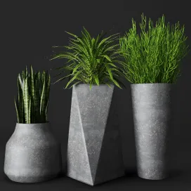 Collection of concrete pots with plants